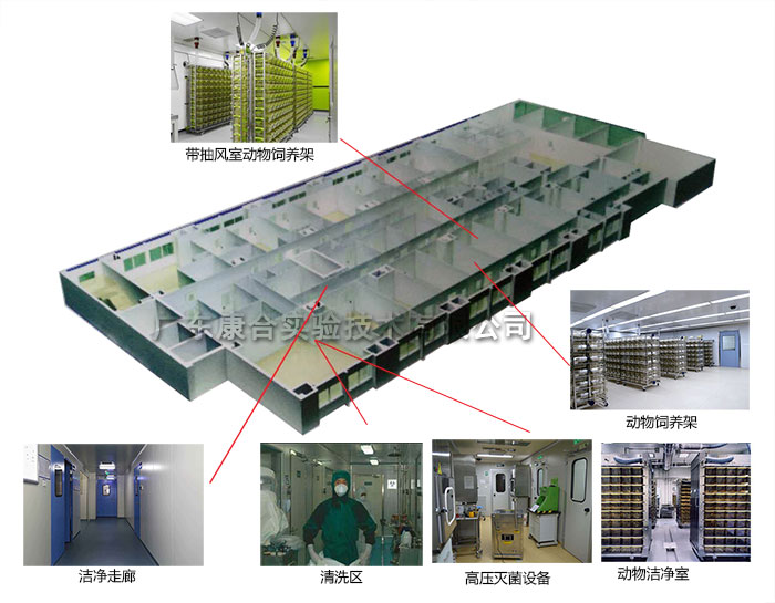動(dòng)物實(shí)驗(yàn)室設(shè)計(jì)方案